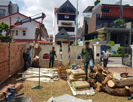 Protecting Singapore’s Biodiversity while we still can