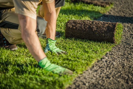 Grass Turfing